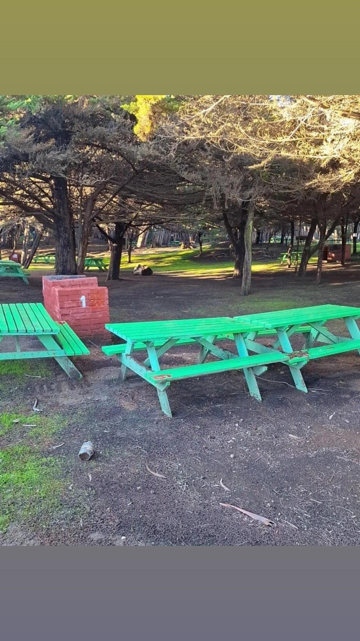 Zona de picnic y parrillas